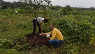 Creating an ideal through love for trees: Prashant Dada Bhagwat's journey to protect the environment