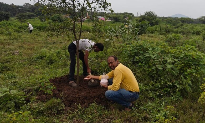 Creating an ideal through love for trees: Prashant Dada Bhagwat's journey to protect the environment